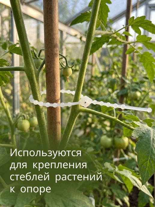 Подвязка для растений многоразовая, белый, фото 2