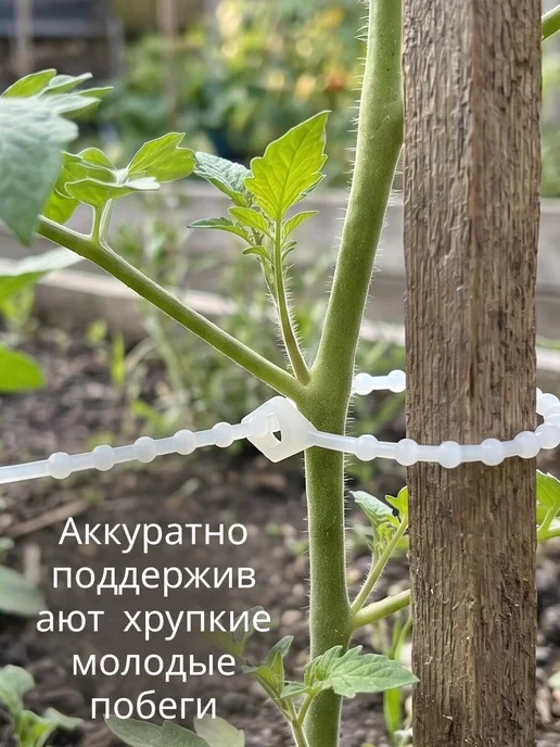 Подвязка для растений многоразовая, белый, фото 4