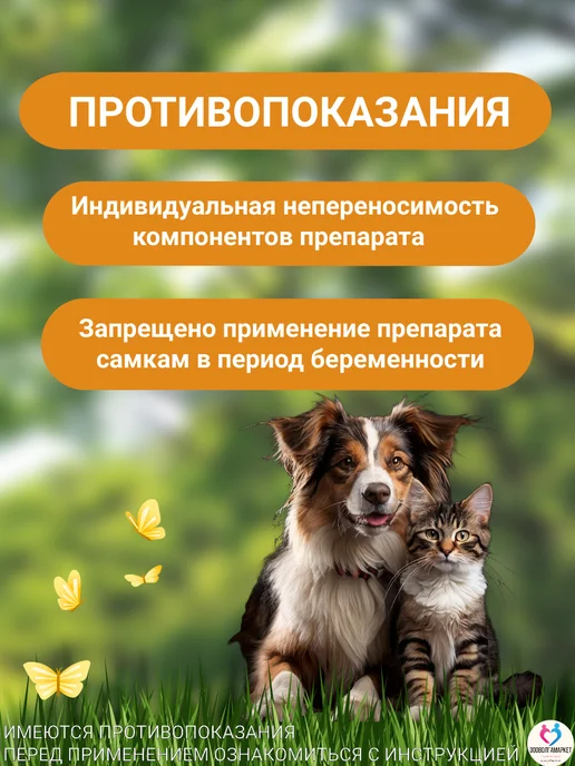 apicenna Миртацен 1,88мг таблетки для восстановления аппетита кошек и…, вариант, фото 6