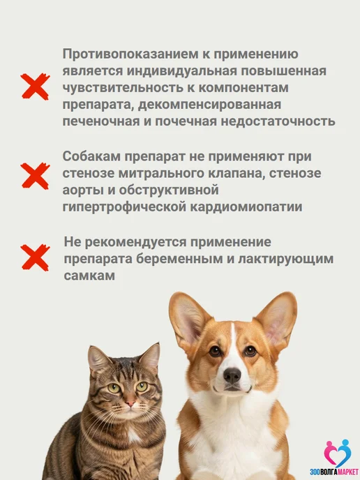 apicenna Вазосан для собак при сердечной недостаточности 1,25мг 30 шт, 1.25 мг и ко, фото 5