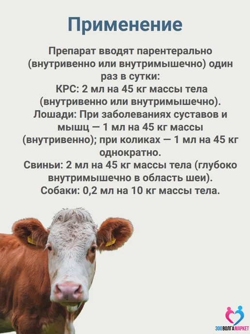 apicenna Флуниджект противовоспалительный и жаропонижающий для животн…, 100 мл, фото 3