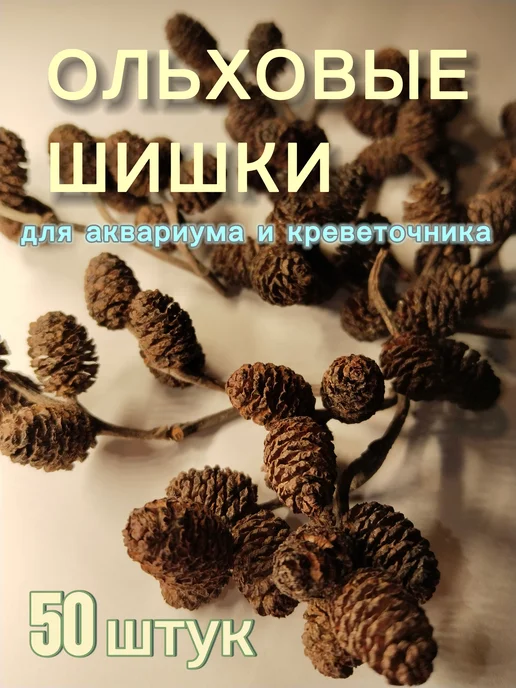 Ольховые шишки для аквариума 50 штук, коричневый, фото 2