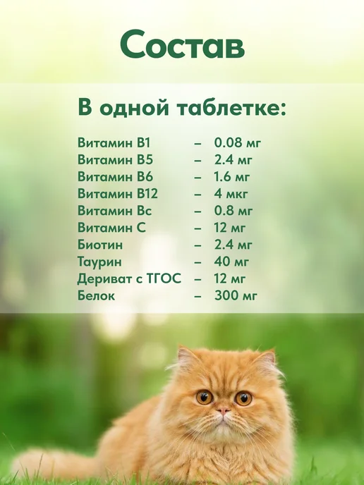polidex Витамины для кошек для шерсти Полидэкс Супер Вул 80, polidex Витамины кошек шерсти, фото 2