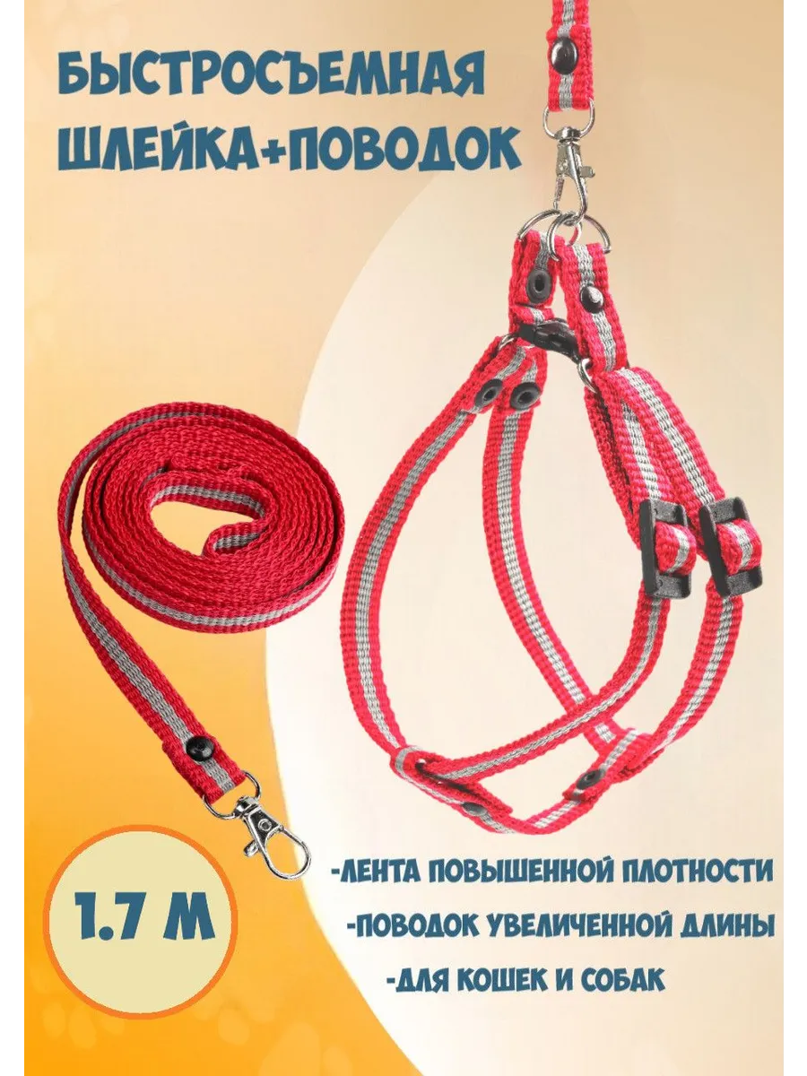 Шлейка быстросъемная с поводком для кошек и собак, длина 1,7…