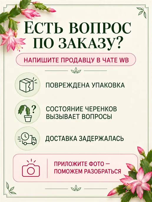 Декабрист Шлюмбергера Черенок, зеленый, фото 10