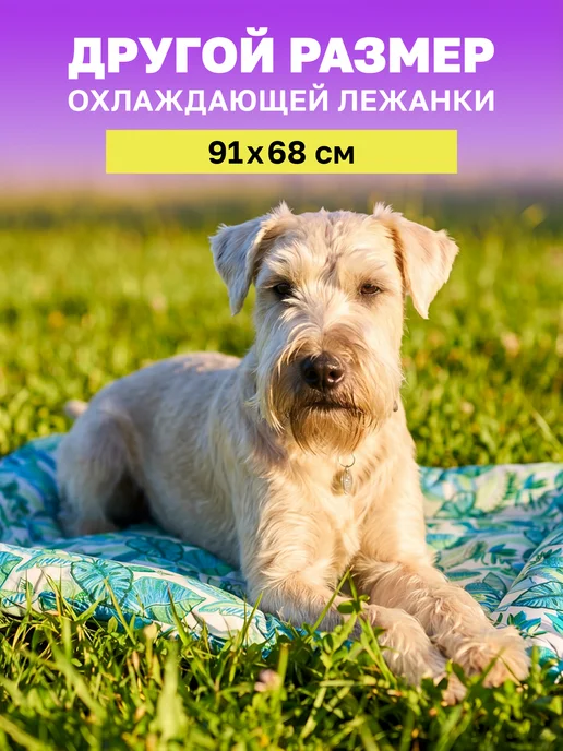 Mr. Kranch Лежанка для собак и кошек охлаждающая 76x66 см, 76x66 см, фото 5