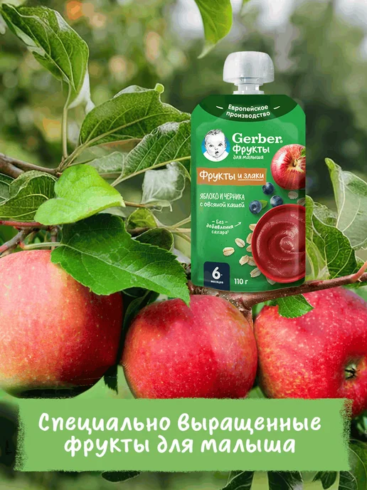 GERBER Пюре Яблоко, черника с овсяной кашей, с 6 месяцев, 8х110г, 110 г, фото 6