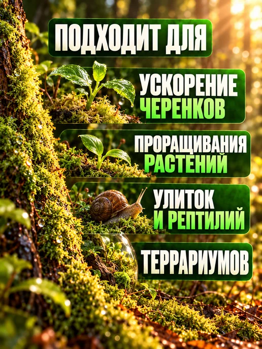 Мох сфагнум, вариант, фото 2