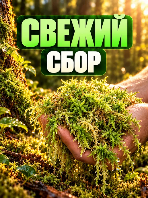 Мох сфагнум, вариант, фото 3