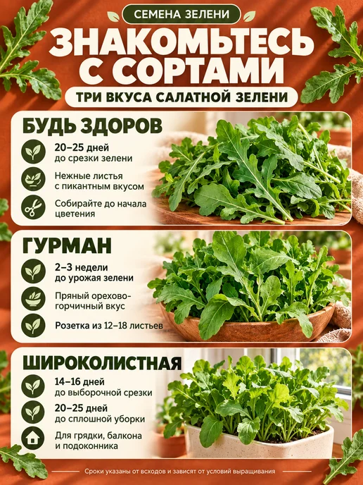 АЭЛИТА Семена рукколы (индау), набор из 3 сортов, зеленый, фото 2