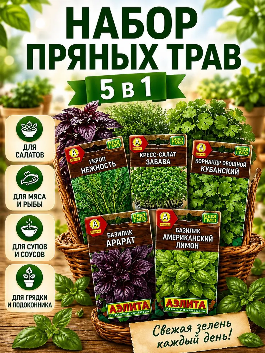 Набор семян пряных трав 5в1