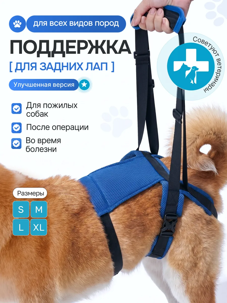 Ходунки для собак на задние лапы