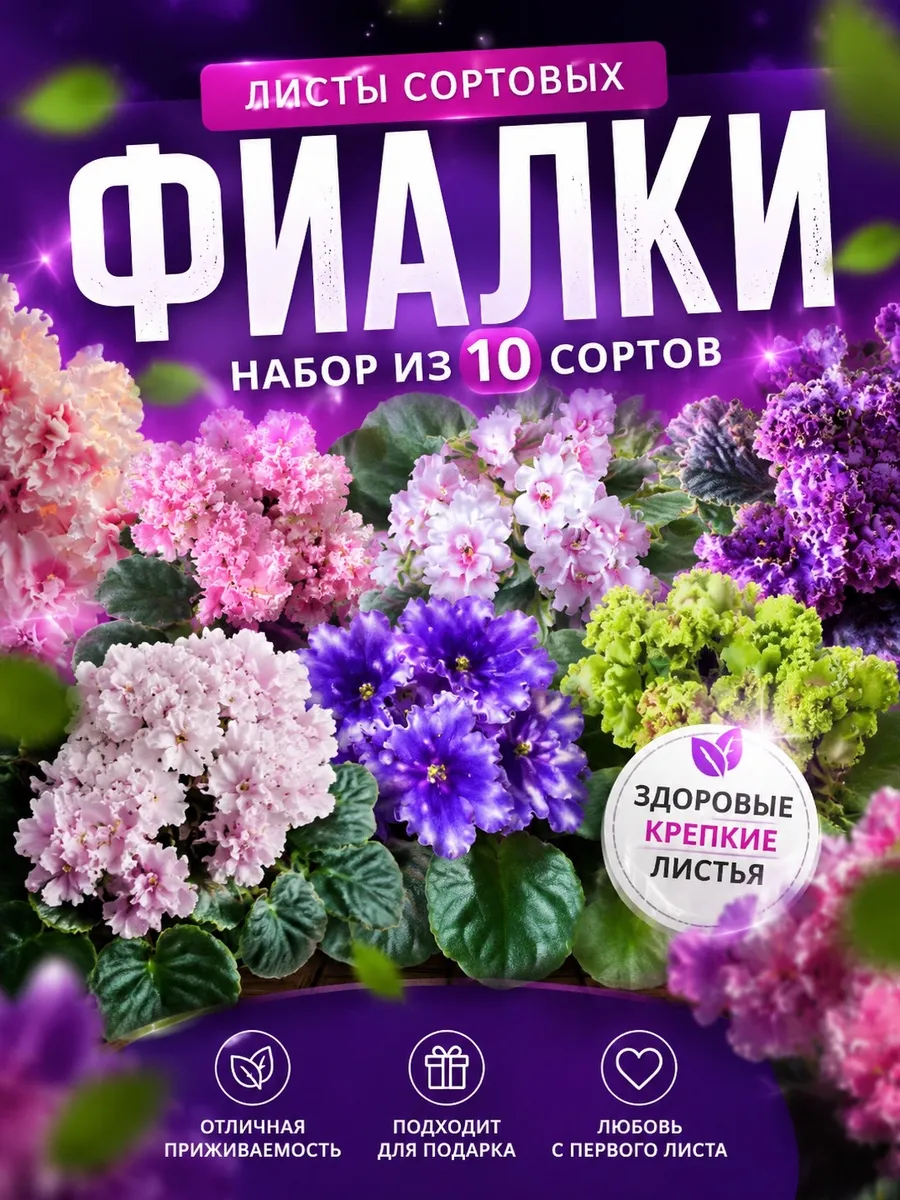 Листики фиалок стандартные сорта, 10 шт, микс