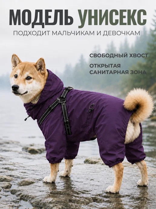 MiloPets Дождевик-комбинезон для собак средних пород, вариант, фото 4