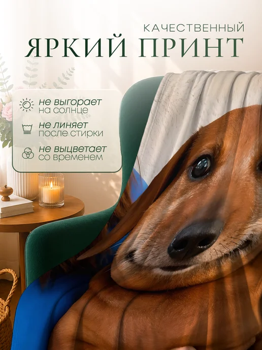 Дакимакура 1 Плед подарок подруге любимой прикольный мем 150х200, 150x200, фото 2