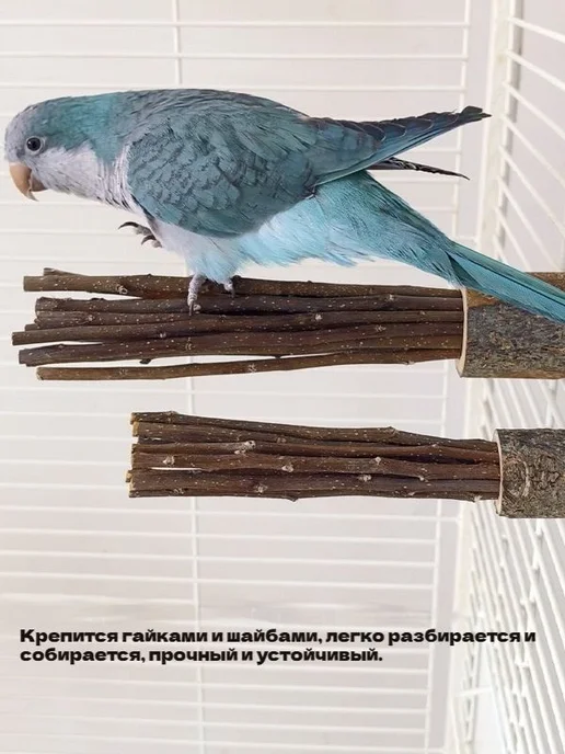 Жердочка для попугаев из яблони, 17 см, вариант, фото 5