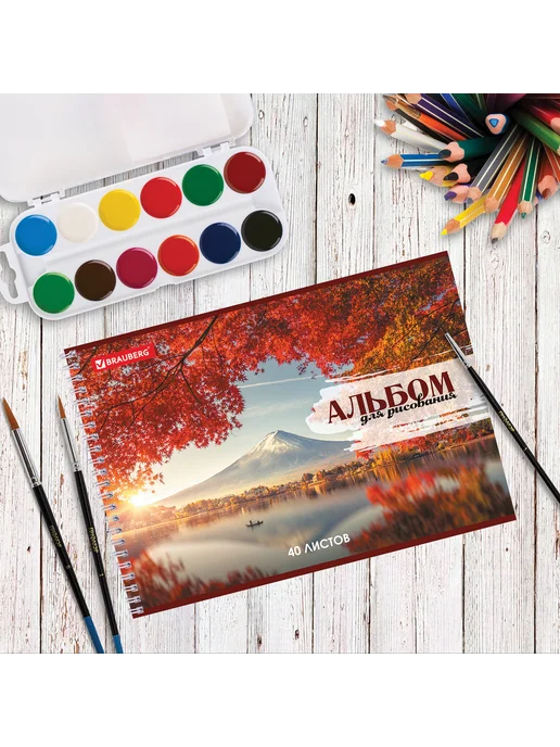 Альбом для рисования, 2шт, 40 л, обложка картон, BRAUBERG, 2 шт, 40 л, фото 3