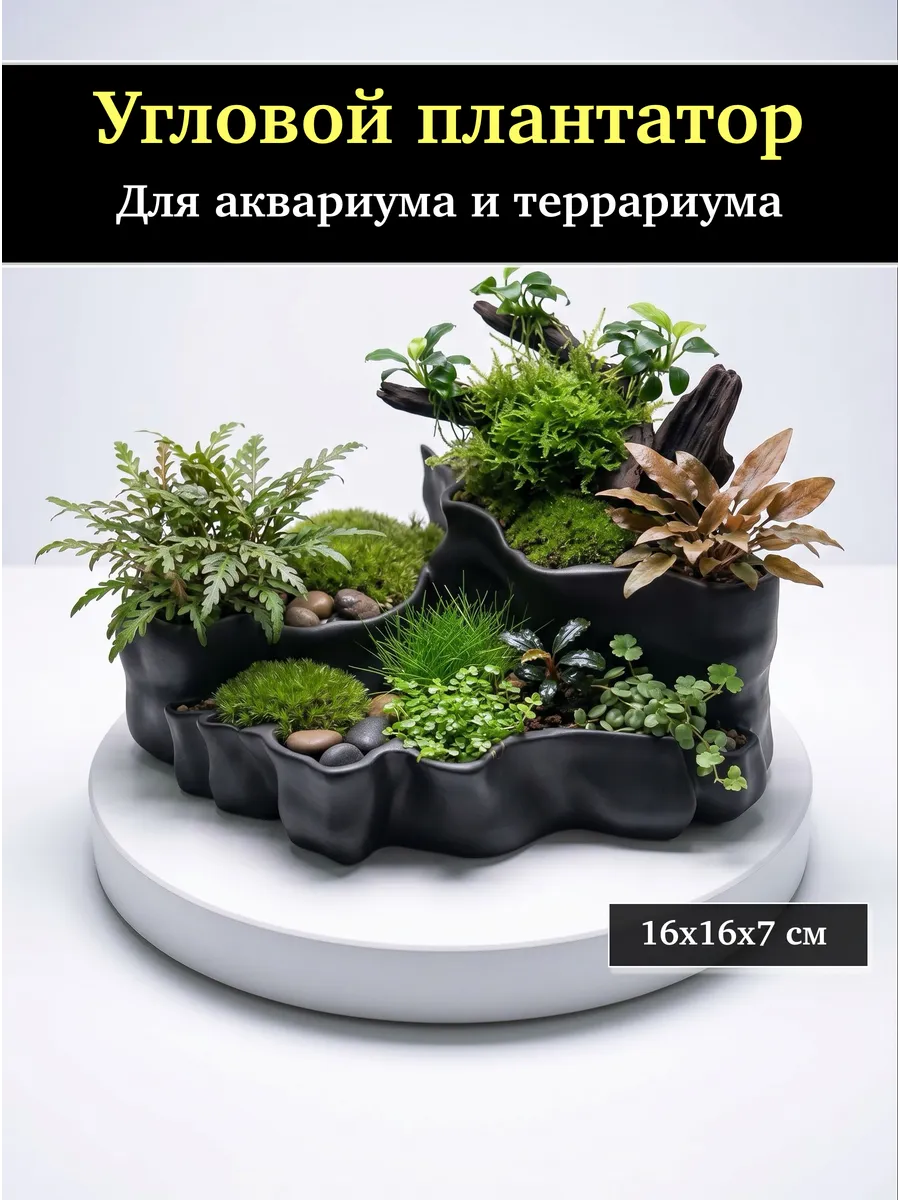 Декор плантатор горшок для аквариума и террариума Черный