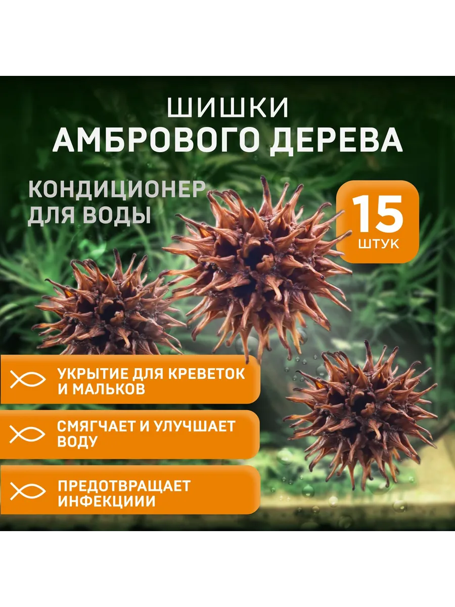 шишки амбрового дерева, 15 штук