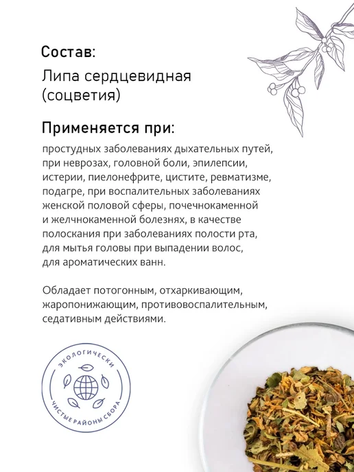 Цветки липы сушеные для иммунитета от простуды, вариант, фото 2