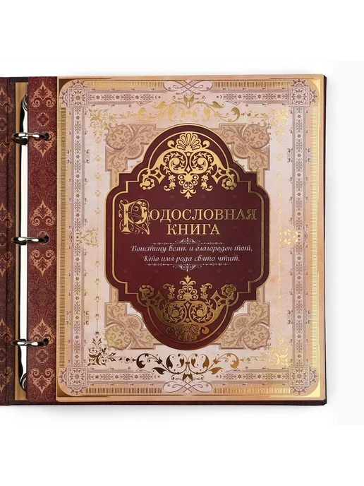 Родословная книга с рамкой для фото — стиль и память, вариант, фото 8