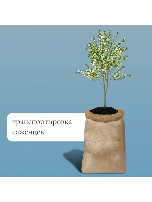 Greengo Мешок джутовый 74 х 114 см без завязок, 50x80 см, фото 3