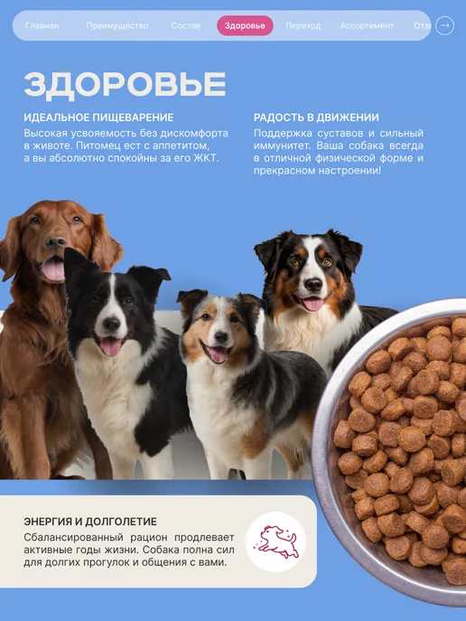 Сухой корм QUATTRO Акита Ину для собак, говядина, 12 кг, фото 5