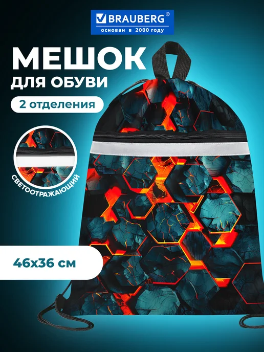 Brauberg Мешок для обуви, сумка для сменки в школу, чехол плотный, вариант