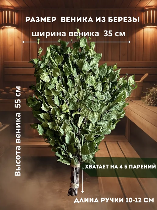 Mr.Forest Веник для бани березовый, Веник, фото 2